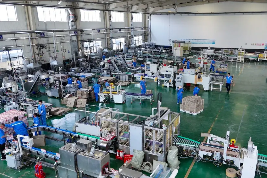 Production Line View 4