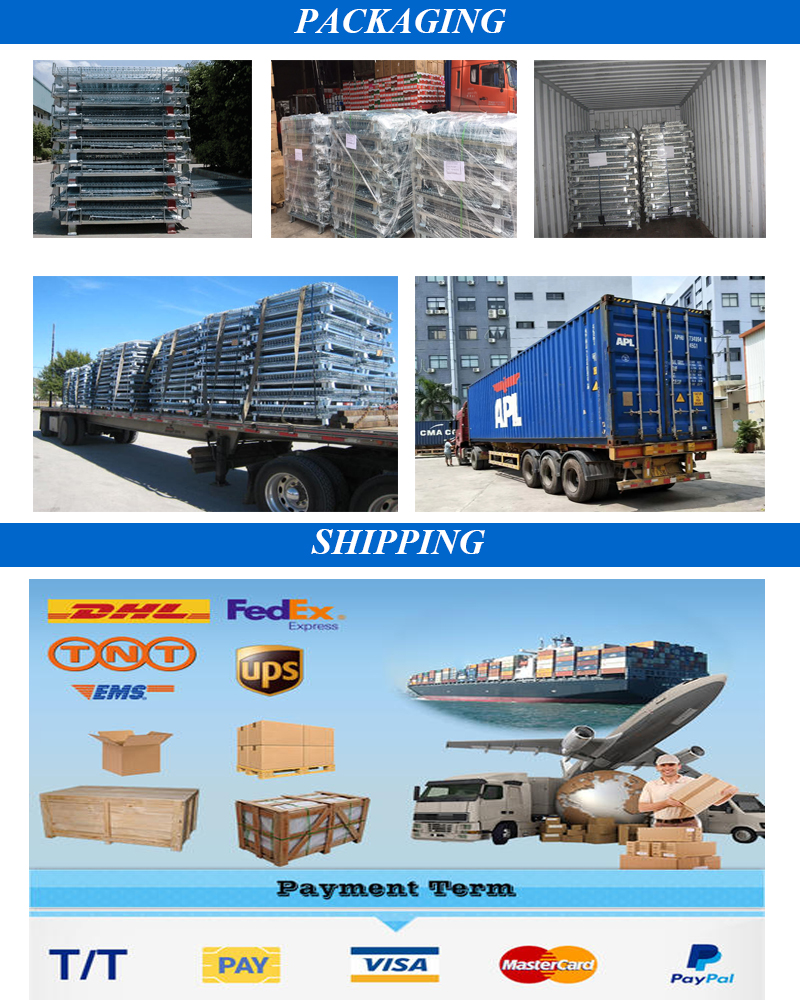Packaging and Shipping Detail