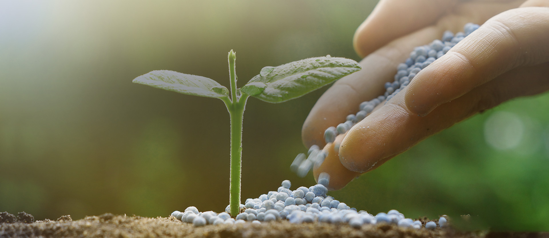 Xinrui Group Plant Protein Extraction Manufacturing Base