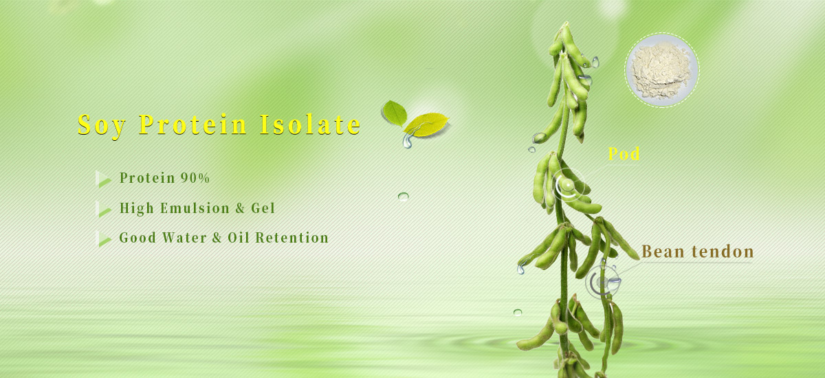 Advanced Wheat Wet Milling Production Line