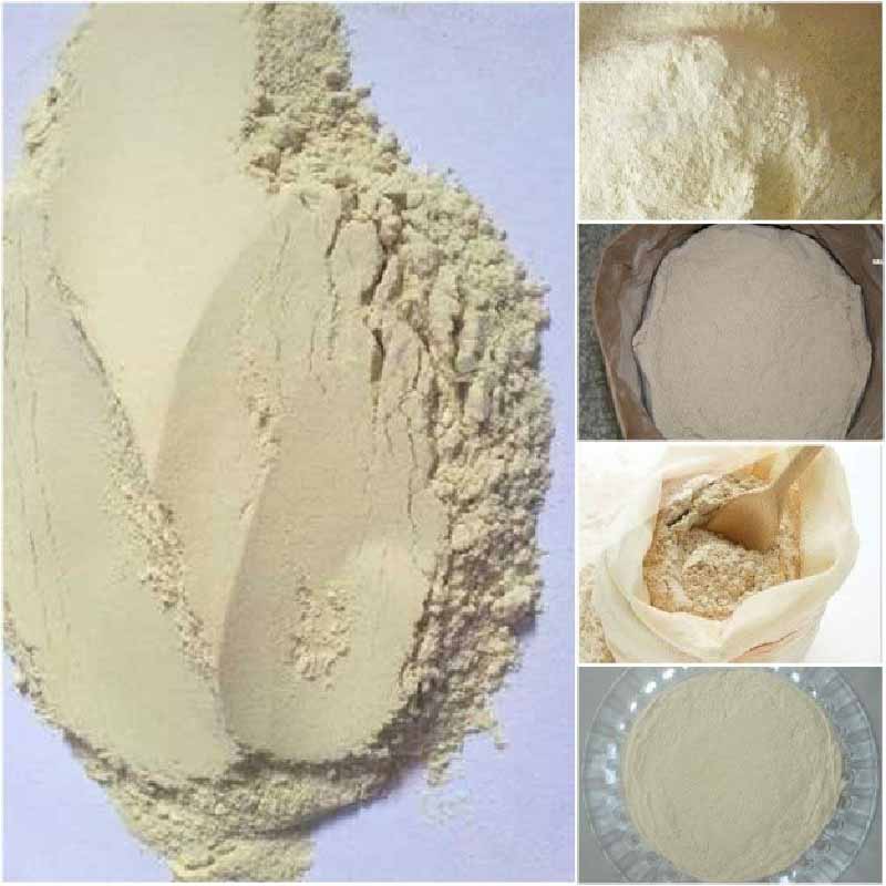 Wholesale VWG-P Wheat Gluten Powder Manufacturer, Supplier