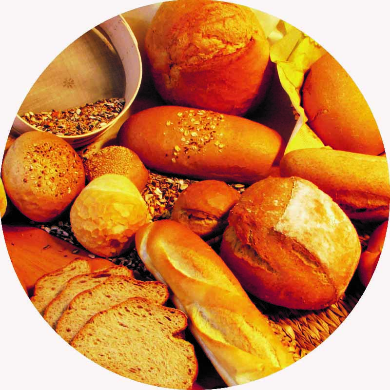 Wholesale VWG-P Wheat Gluten Powder Manufacturer, Supplier
