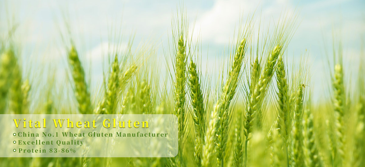 Dachuanyuan Spray Drying Facility for Isolated Soy Protein
