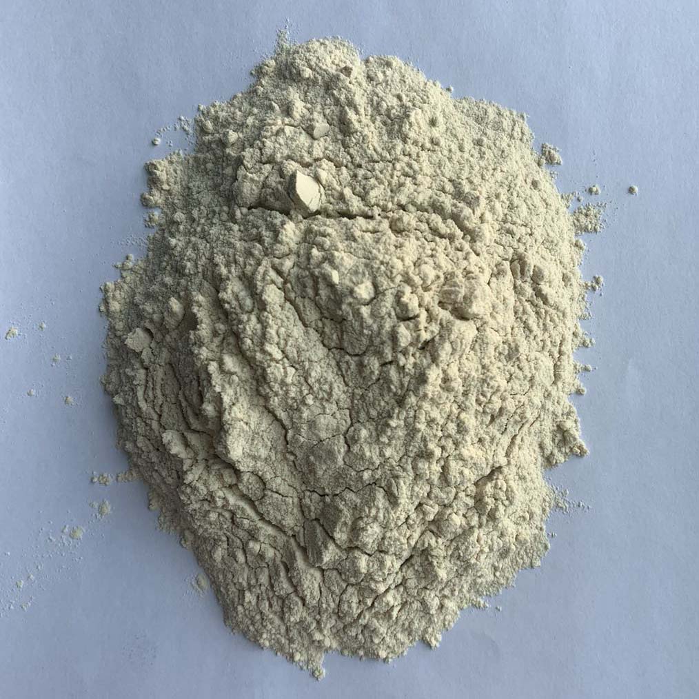 Wholesale VWG-P Wheat Gluten Powder Manufacturer, Supplier