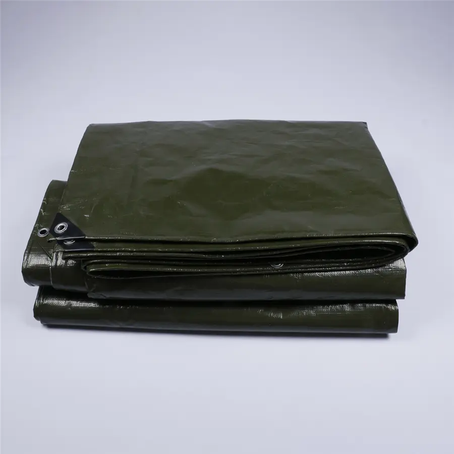 China Tarpaulin Waterproof Heavy Duty Green/Silver Large Tarp Sheet, Ground Camping Sheet Tent for Garden Furniture Manufacturer, Factory