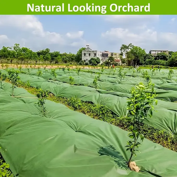 China Landscape Fabric Green Heavy Duty Weed Barrier Weed Control Fabric Garden Ground Cover Factories, Factory