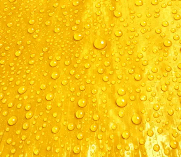 China Yellow Tarpaulin Fabric with Metal Grommets Waterproof Outdoor Use Plain Woven Heavyweight Manufacturer, Supplier
