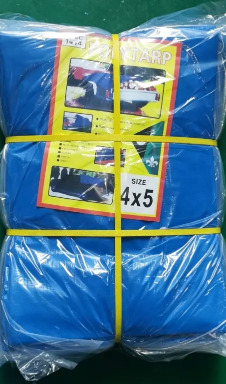 Wholesale Durable PE Tarpaulin Heavy Duty Waterproof UV Resistant Tear Resistant Rain Cover for Warehouse Outdoor Custom Manufacturer, Manufacturers