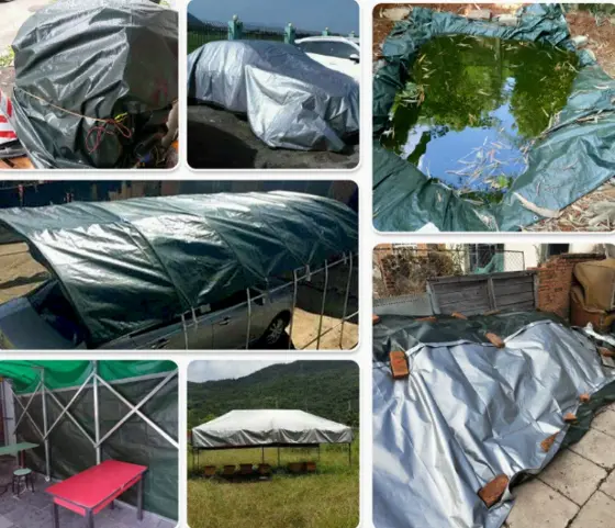 Wholesale Thickened silver-green waterproof PE tarpaulin, wear-resistant rain tarpaulin, waterproof rain cloth, outdoor plastic sunshade cloth, tarpaulin Supplier, Factories