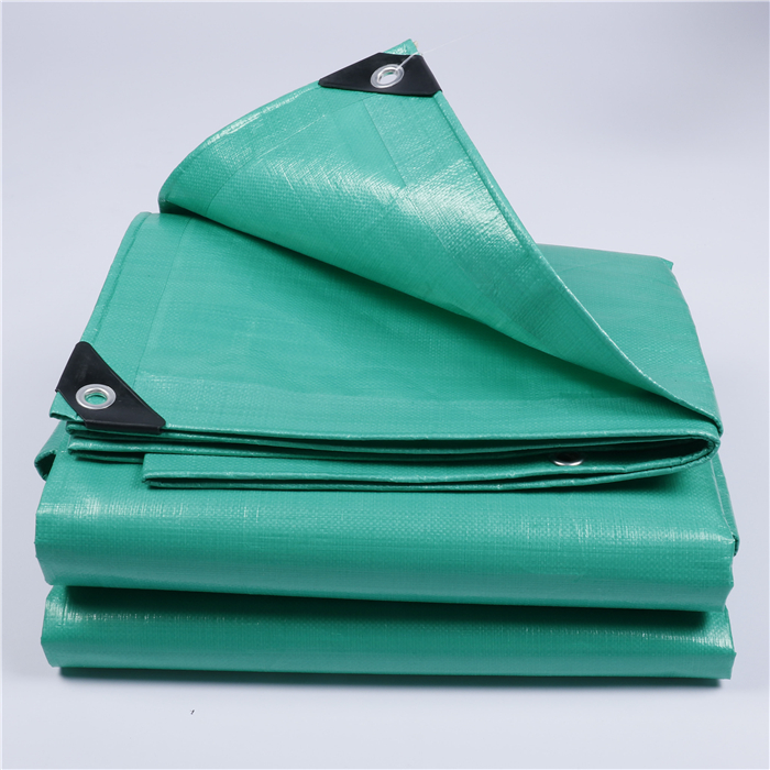 Clear green double-side waterproof PE tarpaulin car cover with reinforced grommets