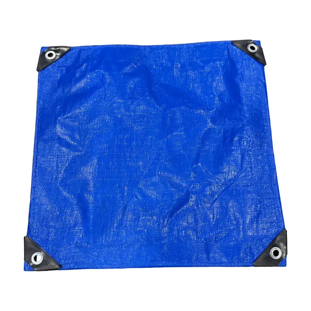 Wholesale Blue Double Faced Eco-Friendly PE Tarpaulin – Durable Crop Cover & Multi-Purpose Sheet Manufacturers, Factory