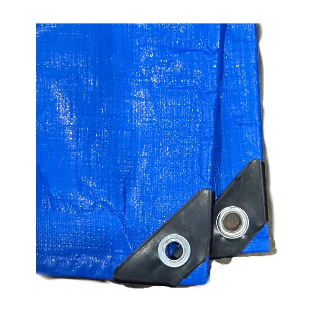 Wholesale top quality PE tarpaulin manufacturer custom size print available for your brand Manufacturers, Factory