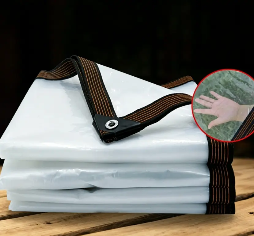 Wholesale Transparent rainproof cloth, waterproof fabric, plastic sheeting, tarpaulin, balcony window shield, succulent rain cover, heat insulation, thickened greenhouse Supplier, Factories