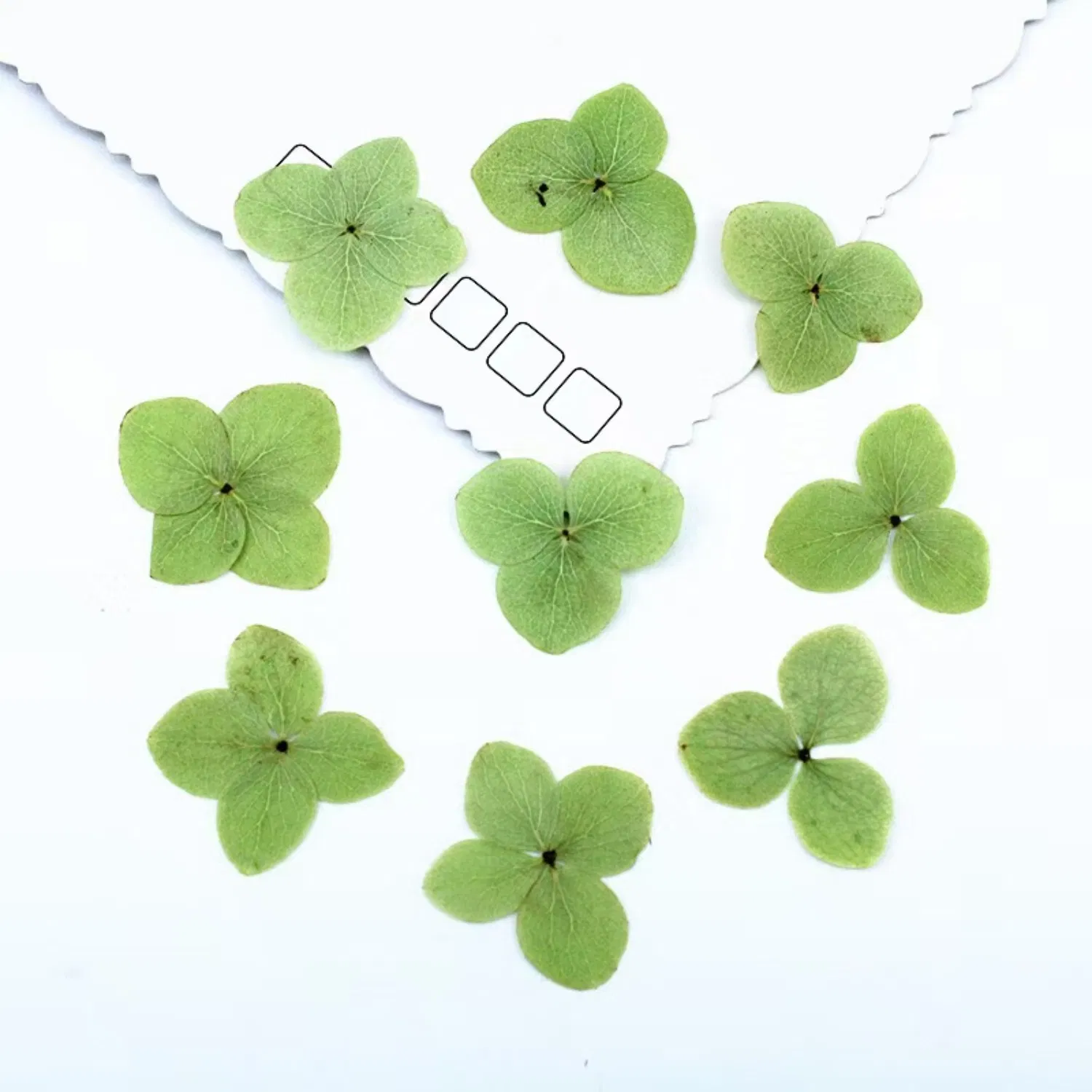 Wholesale Botanical Specimen Face Decals Lamp Art Artificial Flower Apple Green Hydrangea