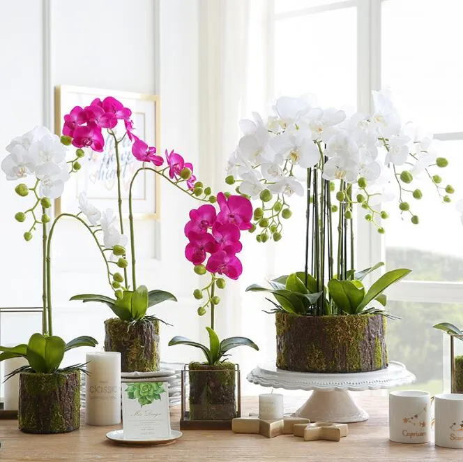 Home and Office Decoration Application