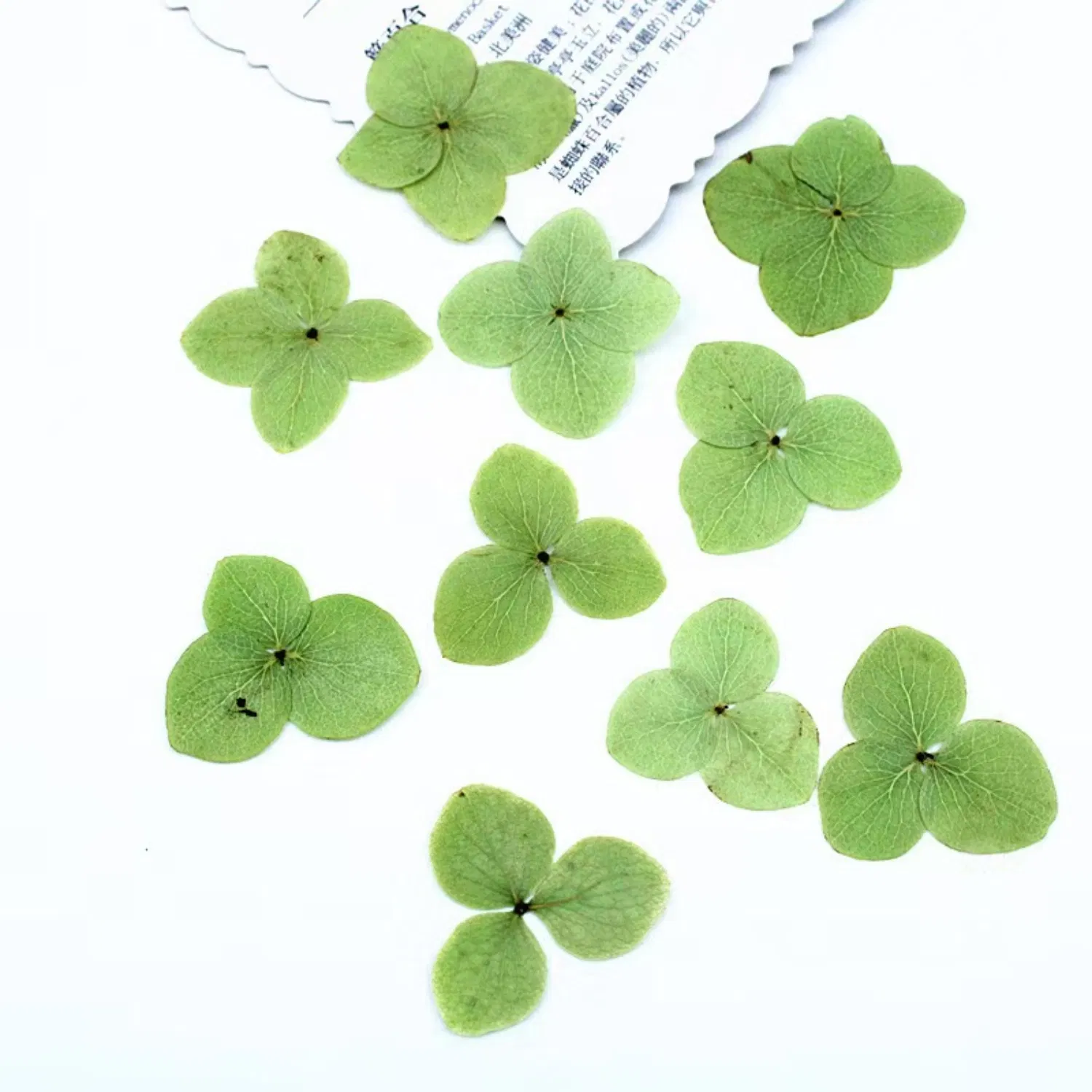 Artificial Flower Detail 2