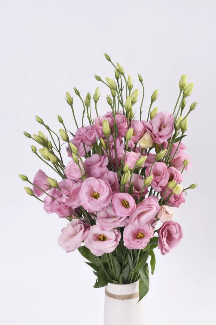 Eustoma Bouquet 1