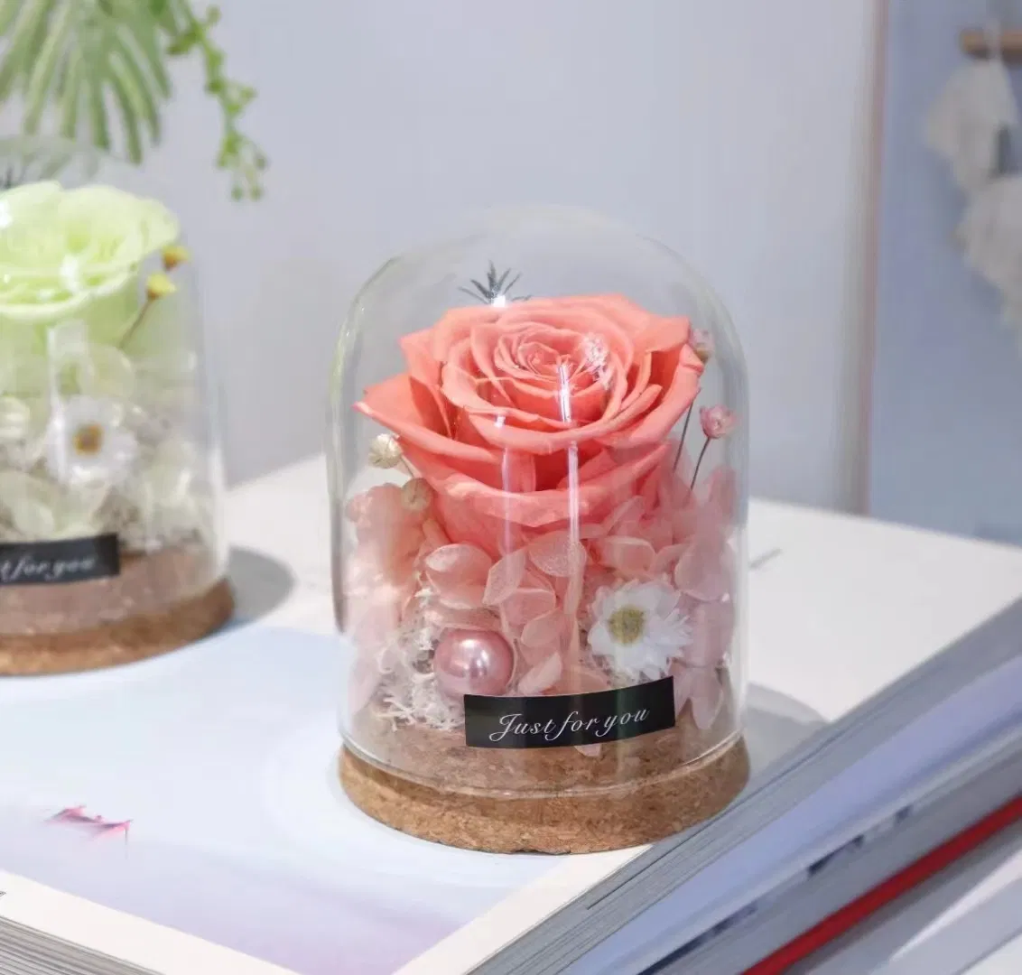 Preserved Rose Artificial Silk Soap Rose Dried Plant Preserved Pampas Moss in Glass Dome