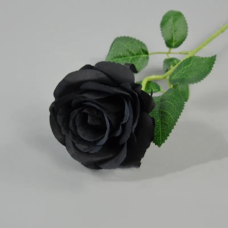 Elegant Black Roses