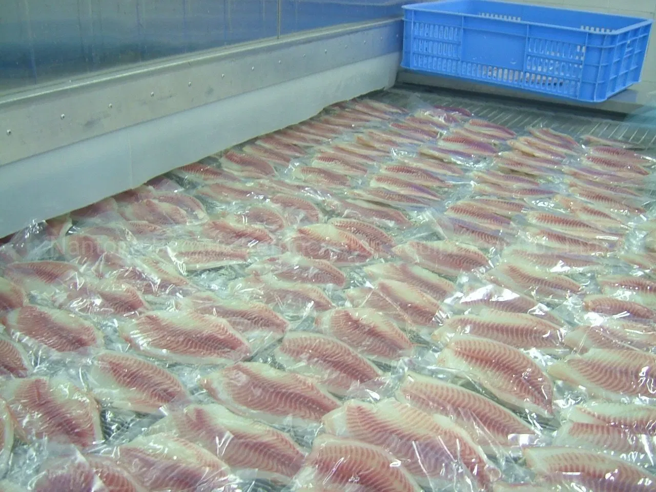 Blast Tunnel Freezer for Shrimp Fish Plumeria Hake Fish