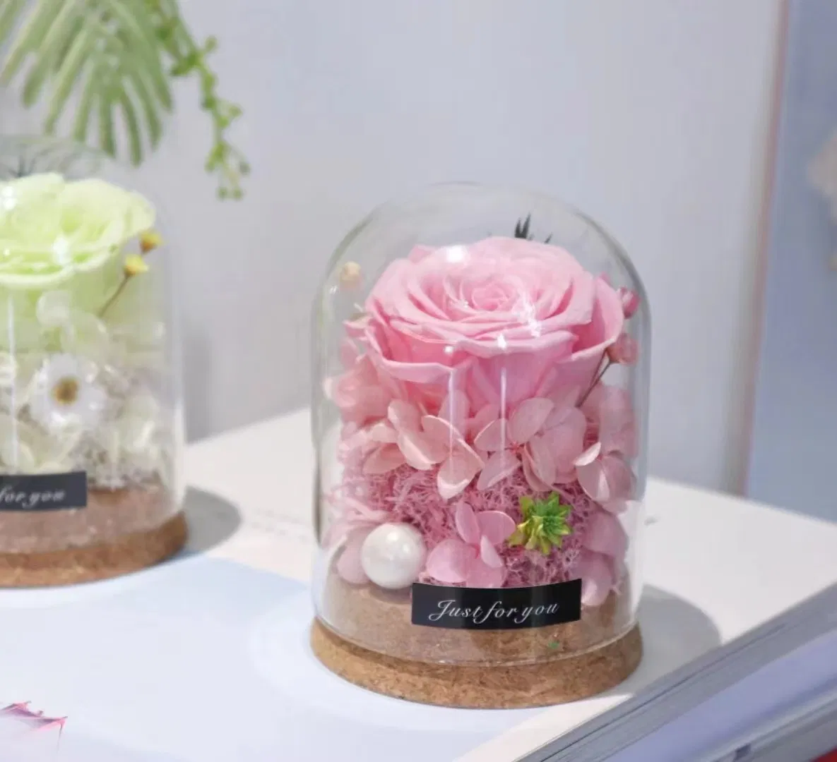 Preserved Rose Artificial Silk Soap Rose Dried Plant Preserved Pampas Moss in Glass Dome