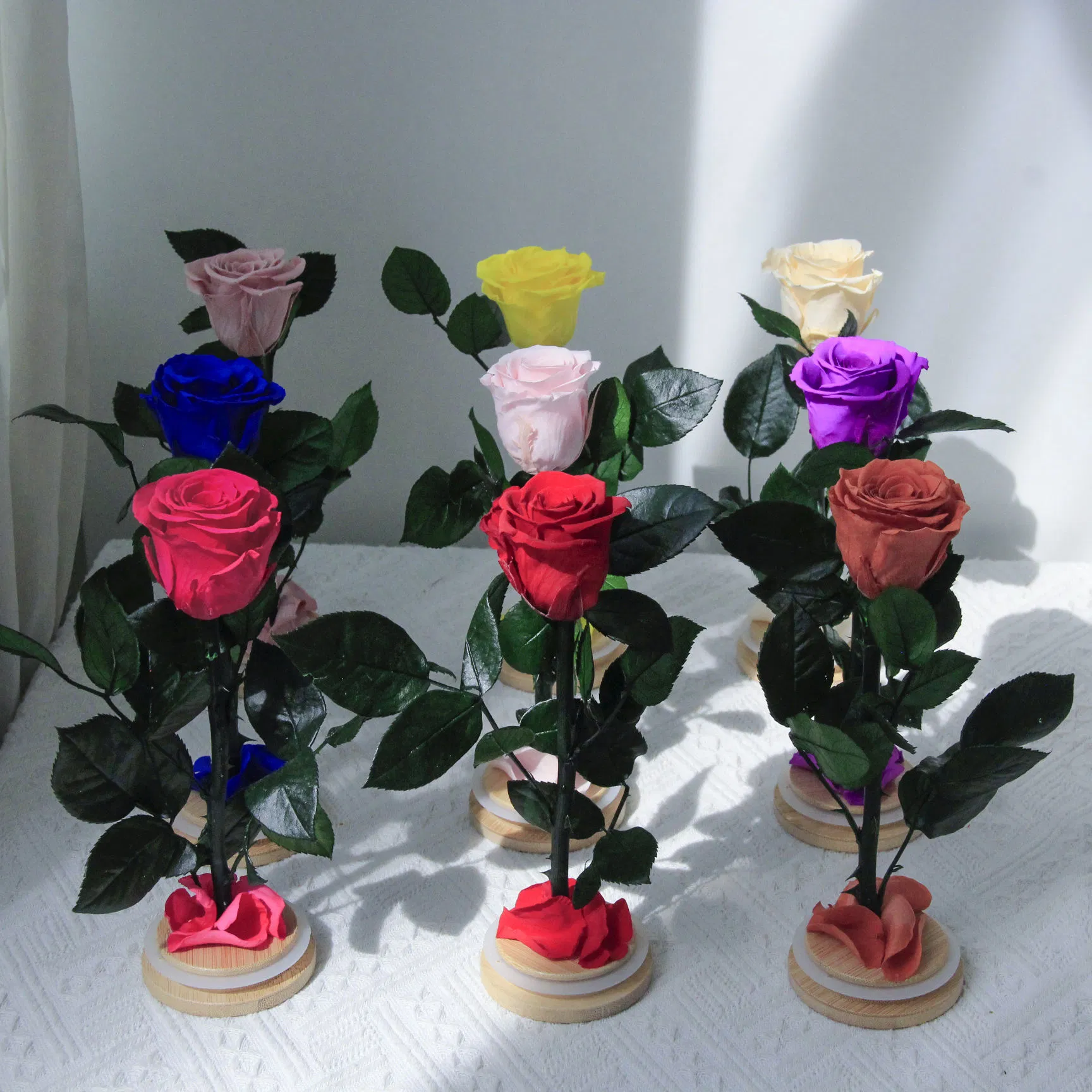 10+Years Manufacturers Eternal Roses Wholesale Everlasting Preserved Rose in Glass Natural Forever Flowers Single Stabilized Flowers with Stem