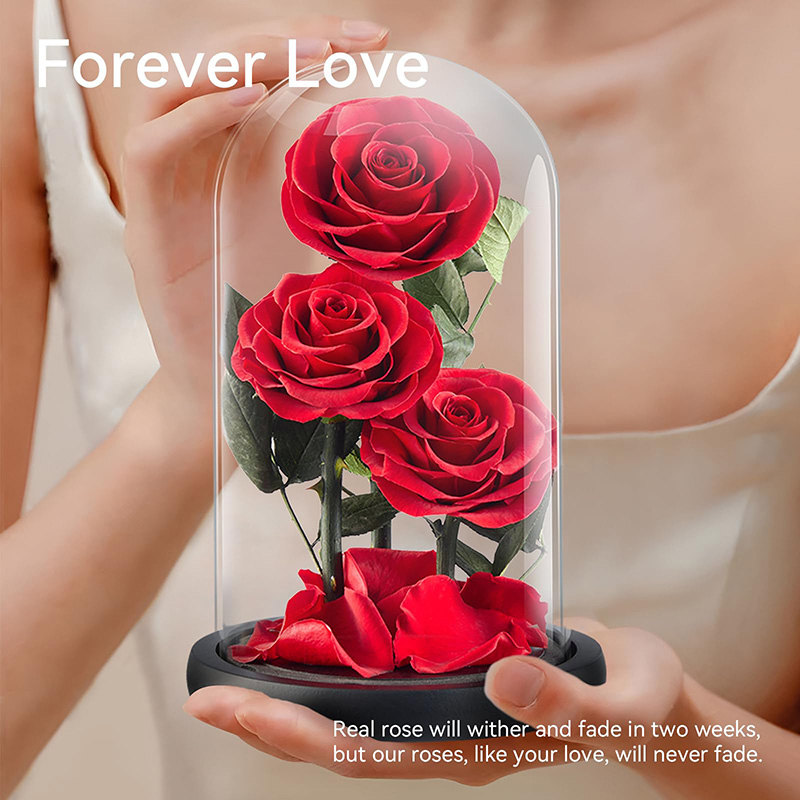Gifts for Women Forever Preserved Red Rose, Birthday Valentines Day Gift with Red Eternal Flower in Glass Dome, Gifts for Valentine's Day Mothers Day Flower