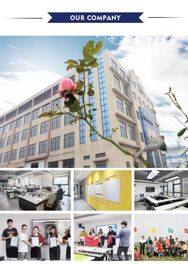 Preserved Roses Detail 2