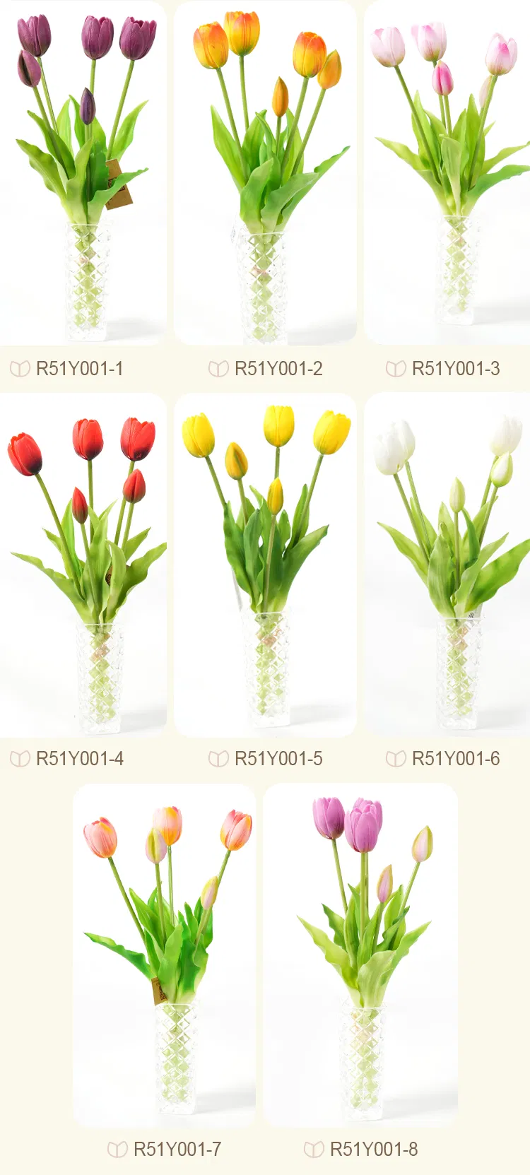 Tulip Color Variations