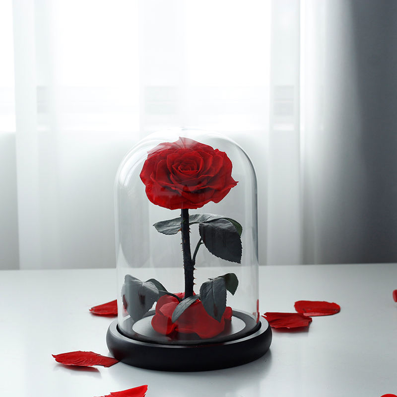 Factory Direct Wholesale Christmas Valentine's Day Eternal Forever Roses with Stems Preserved Flower in Glass Dome Real Natural Preserved Roses Glass