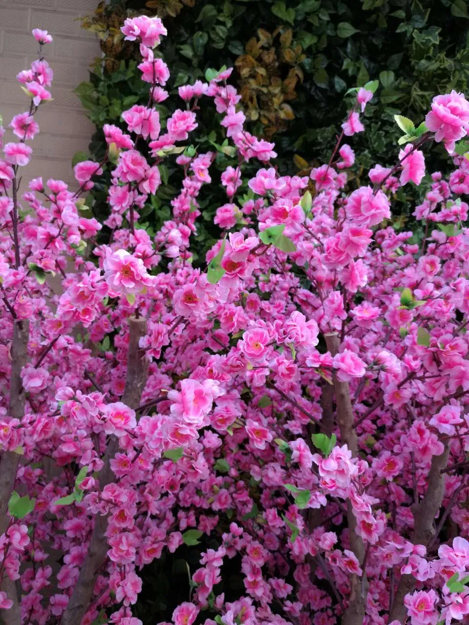 Cherry Blossom Detail 1