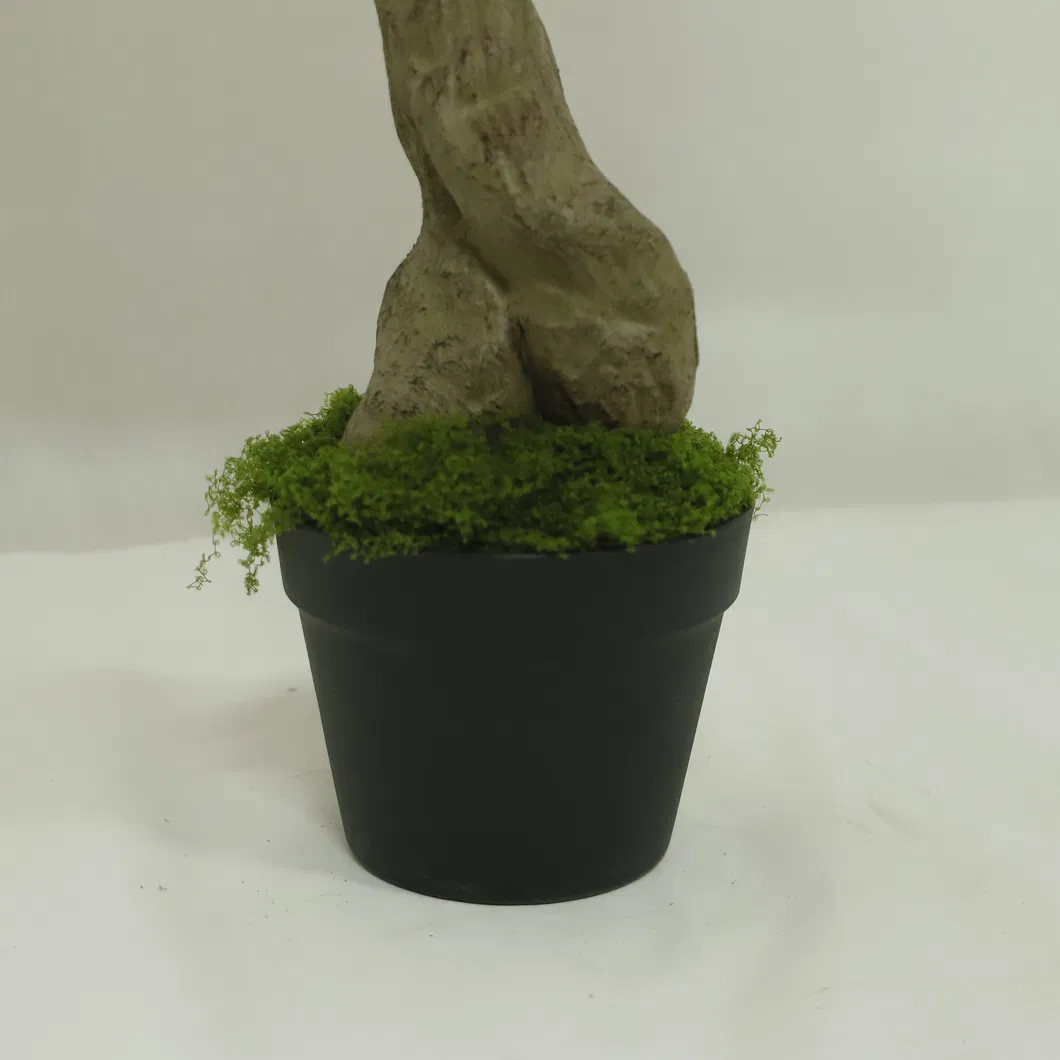 Pink Cherry Blossom 5