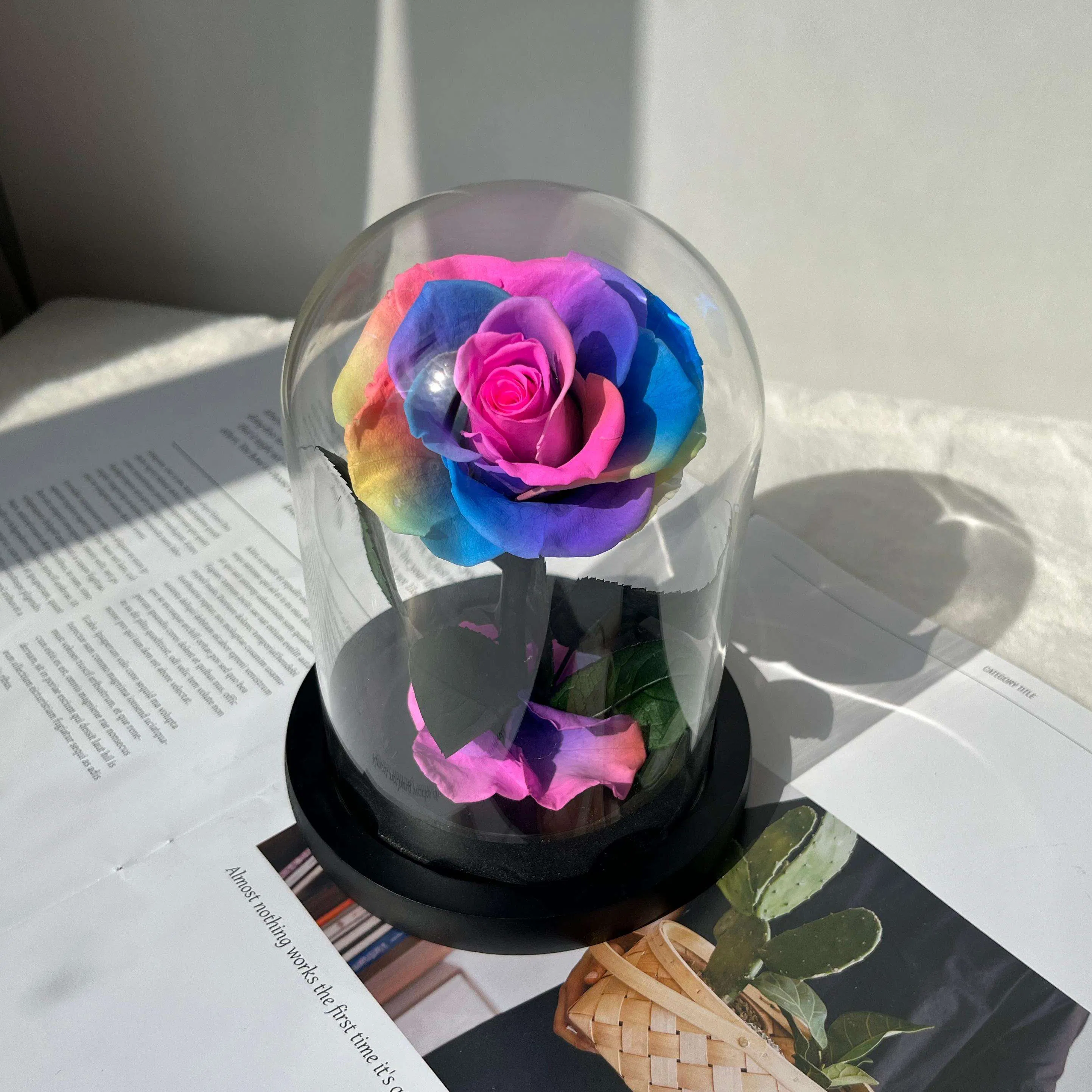 Factory Sales Valentine's Day Preserved Flower Wholesale Rainbow Eternal Forever Roses with Stems Natural Eternal Rose Glass Dome