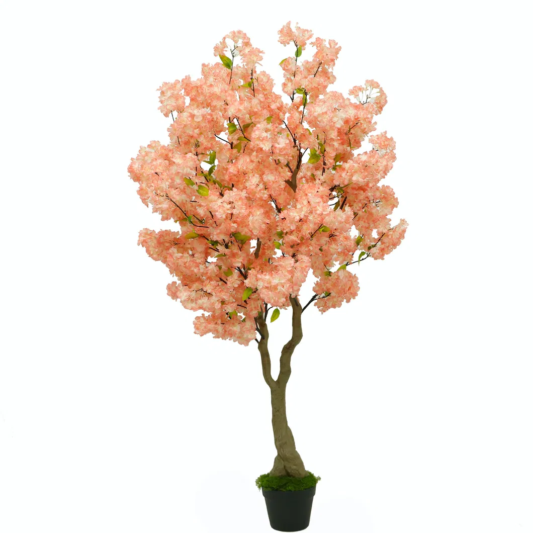 Pink Cherry Blossom 1