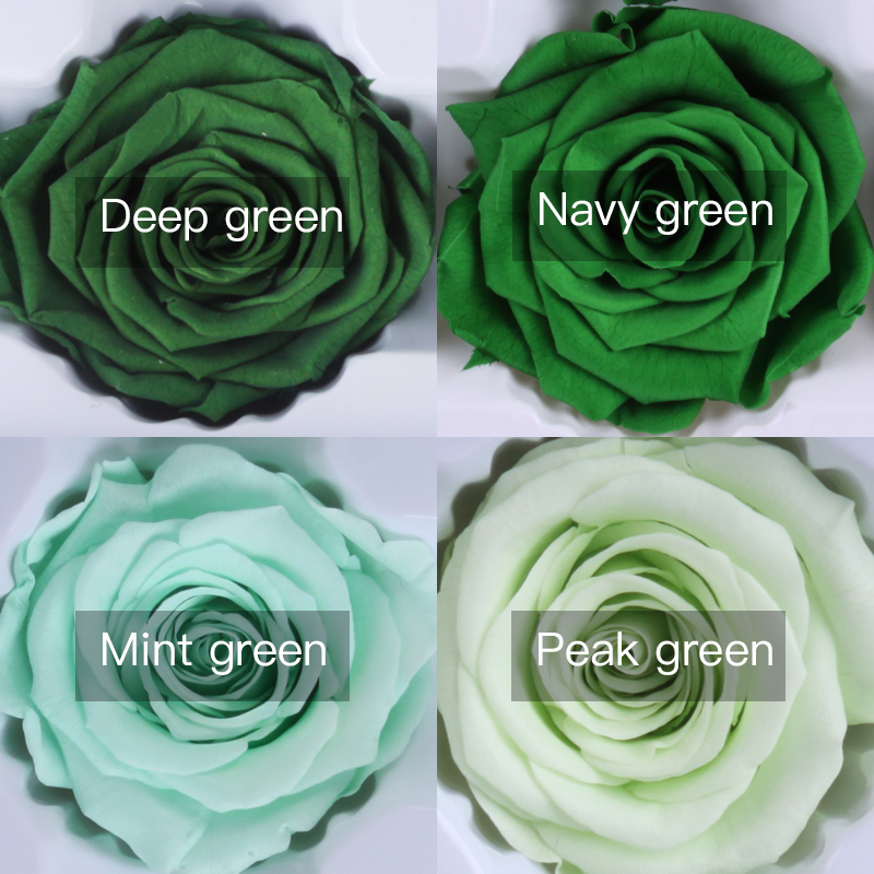 3-5 Years Lasting Preserved Rose Flowers for Glass Dome