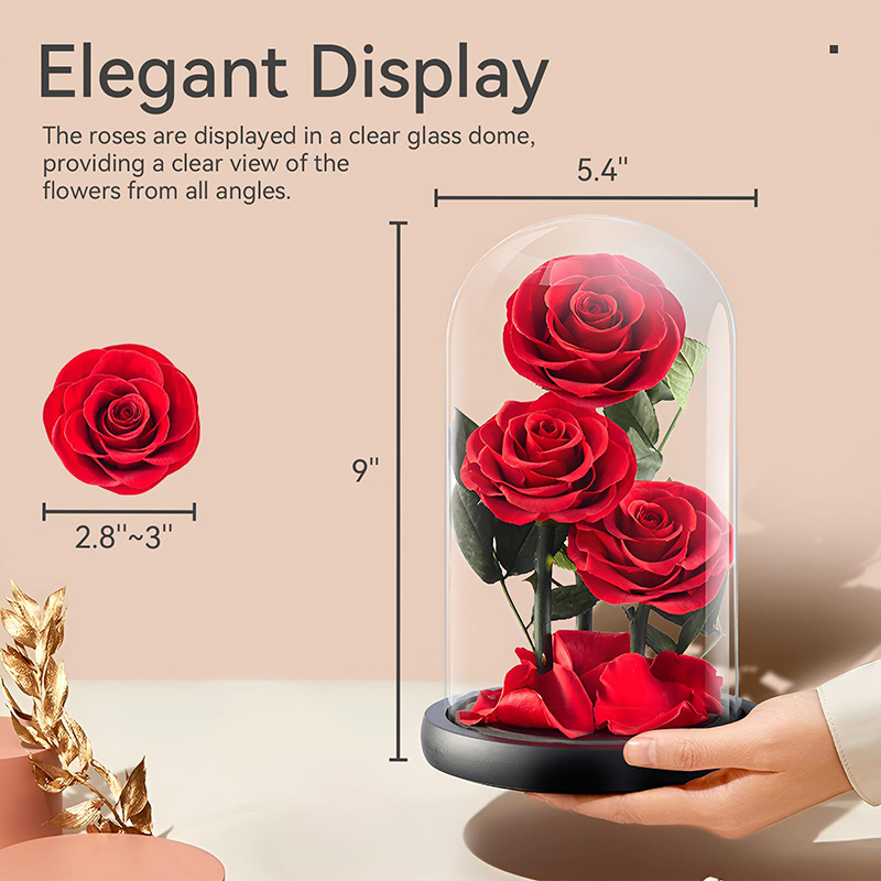 Gifts for Women Forever Preserved Red Rose, Birthday Valentines Day Gift with Red Eternal Flower in Glass Dome, Gifts for Valentine's Day Mothers Day Flower