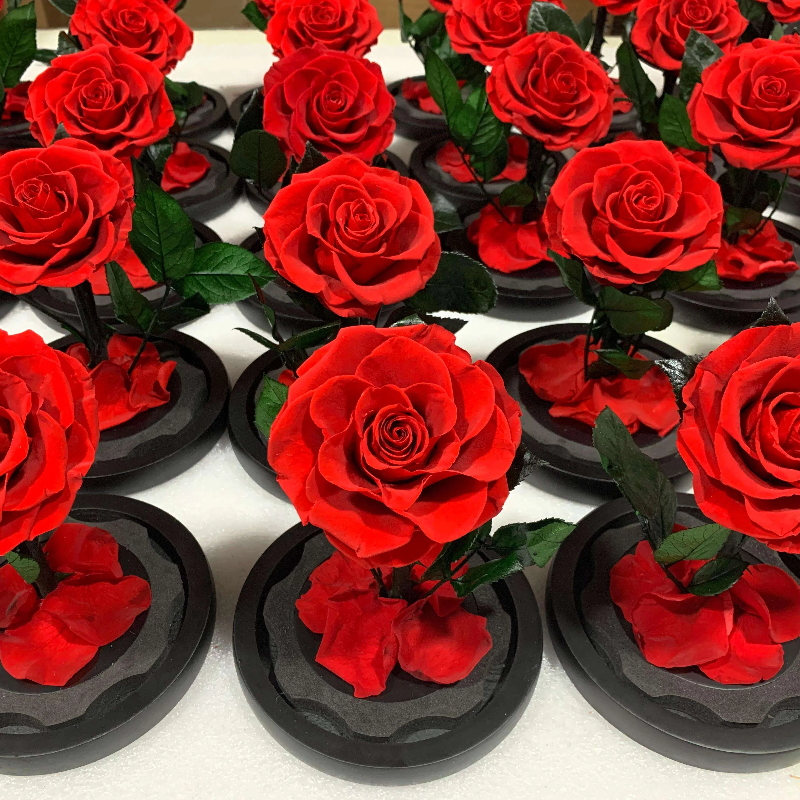 Valentine's Day Gift Forever Rose LED Light Stabilized Flowers Preserved Roses in Glass Eternal Roses Wholesale in Dome