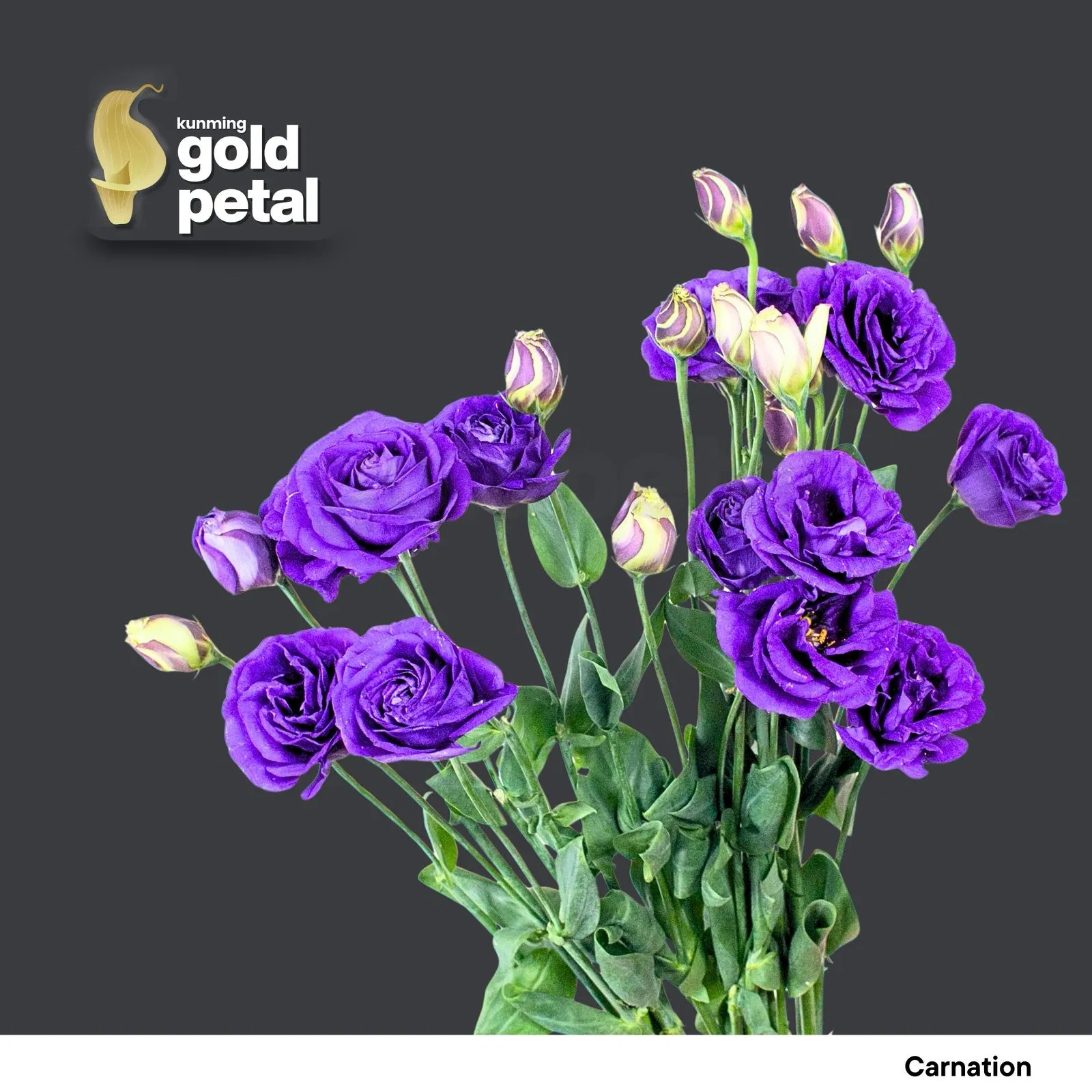 Vibrant Chinese Eustoma Bouquet - Premium Quality
