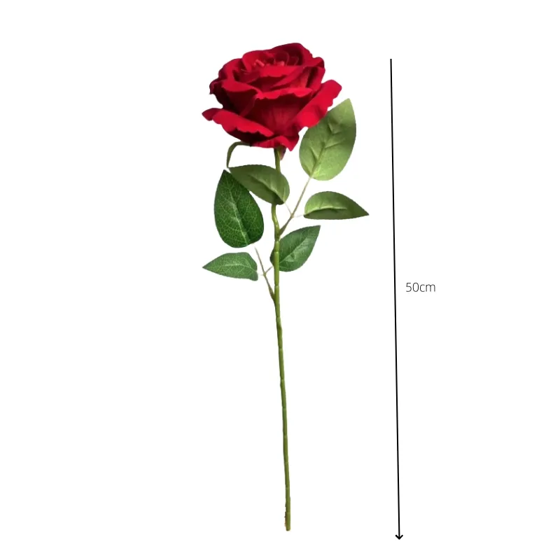 Single Big Lint Rose 2