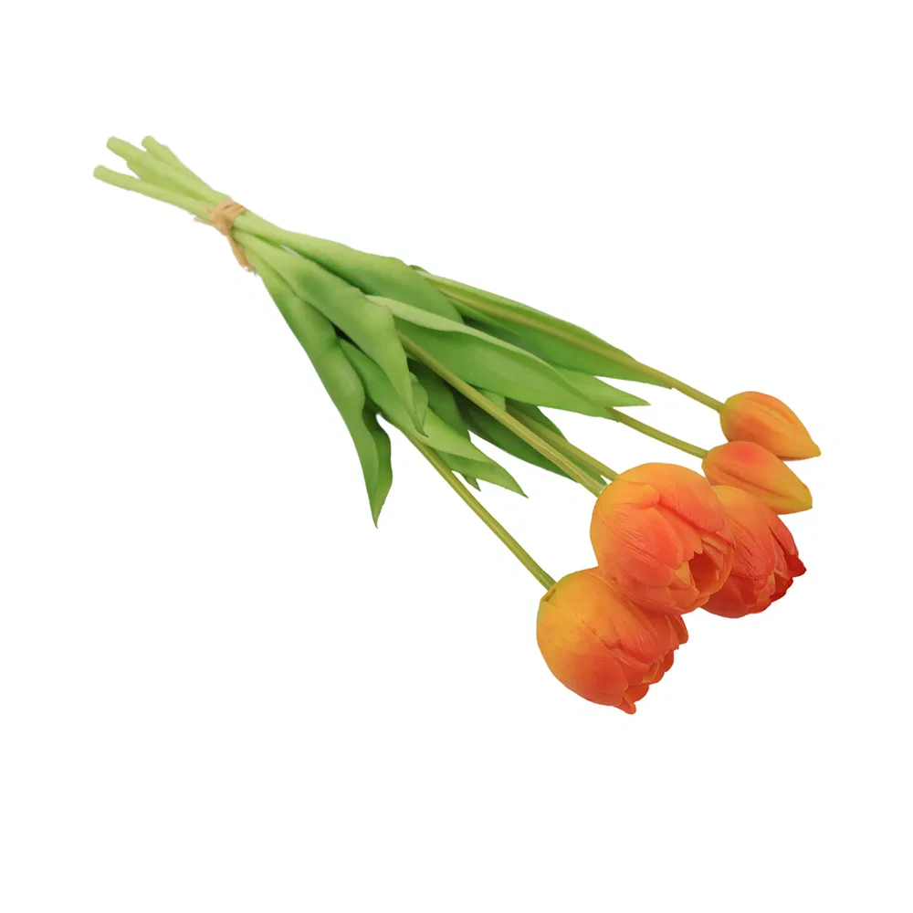 Detailed Tulip Photo 2