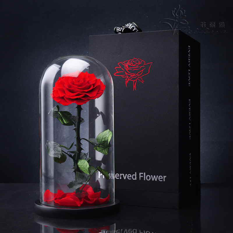 New Idea Forever Roses Valentine Gifts Preserved Rose with Glass Gift Box Rose Preserved Flower in Glass Dome