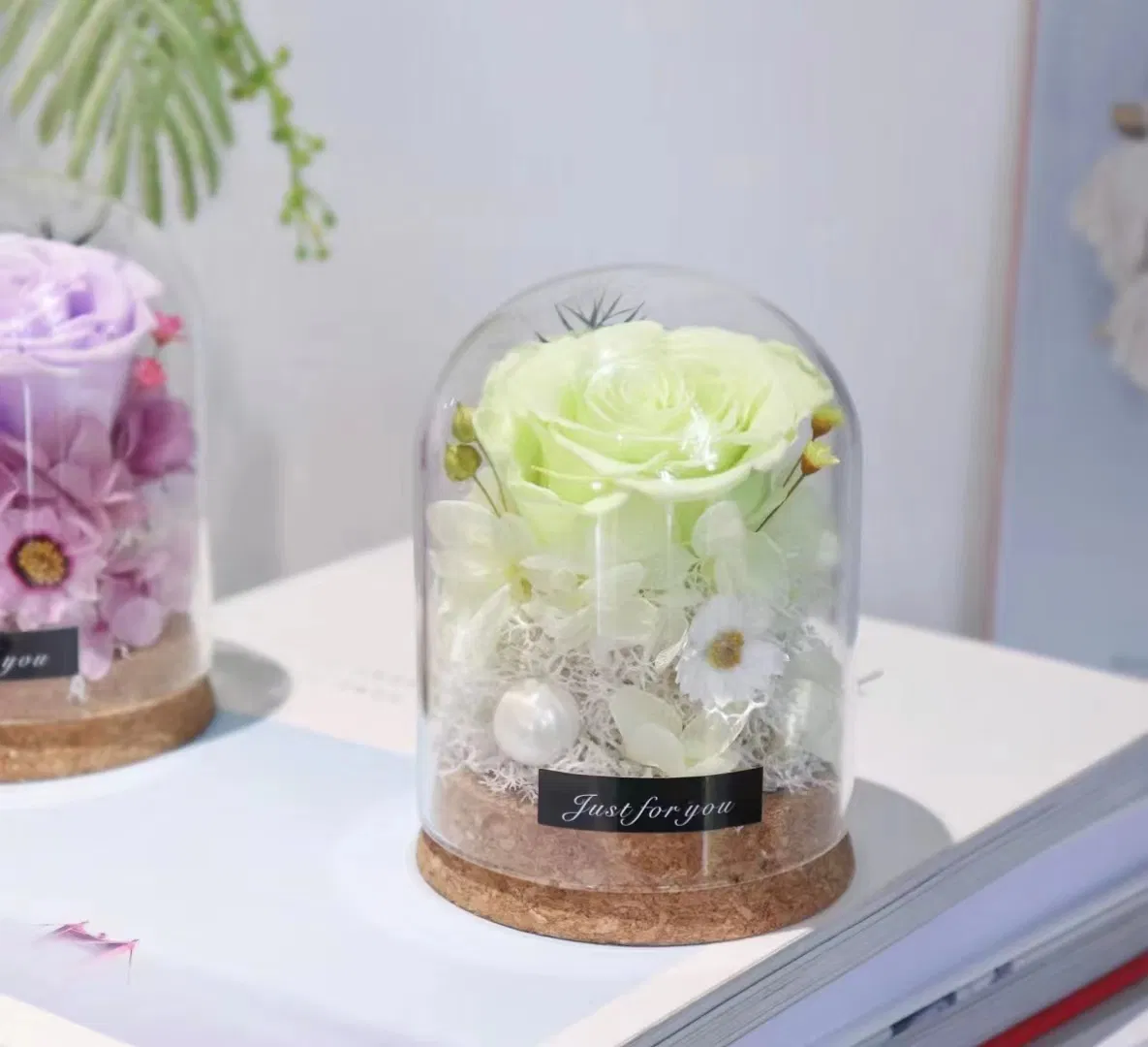 Preserved Rose Artificial Silk Soap Rose Dried Plant Preserved Pampas Moss in Glass Dome