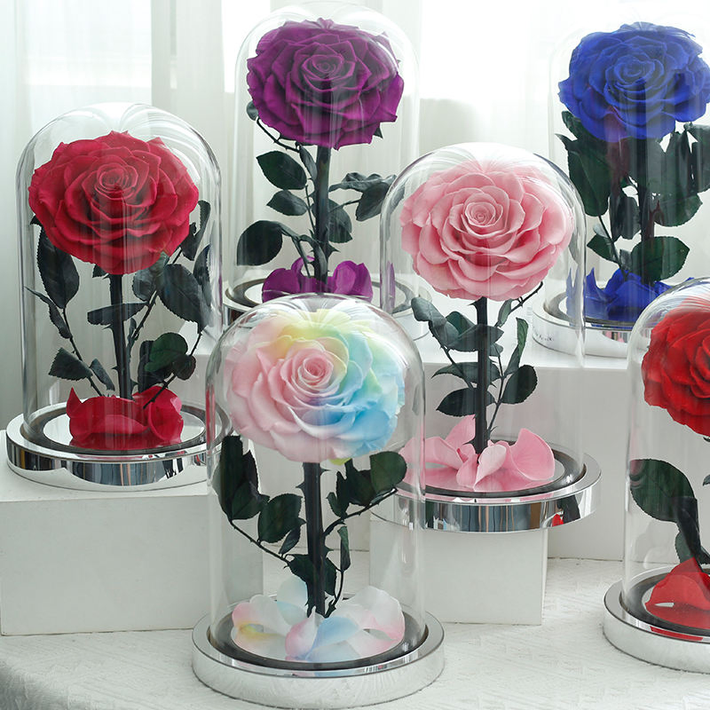 10+Years Manufacturers Eternal Rose Moss Long Stem Red Single Flowers Morthers Day Everlasting Preserved Flower Forever Roses in Glass Dome