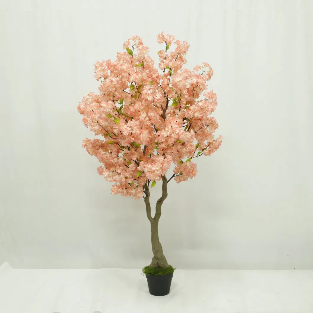 Pink Cherry Blossom 2