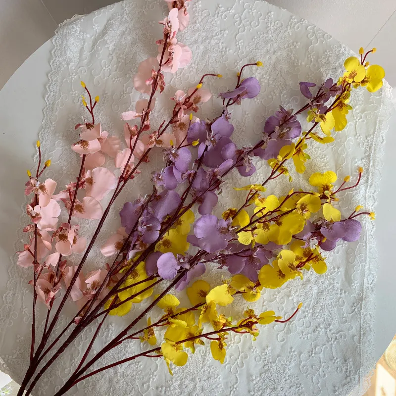 Silk Orchid Photo 10