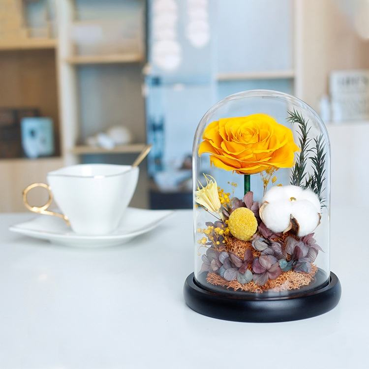 Factory Supply Forever Real Rose Hydrangea Preserved Roses in Glass Eternal Flower Dome for Girl Woman Red Valentine's Day Gift Rose