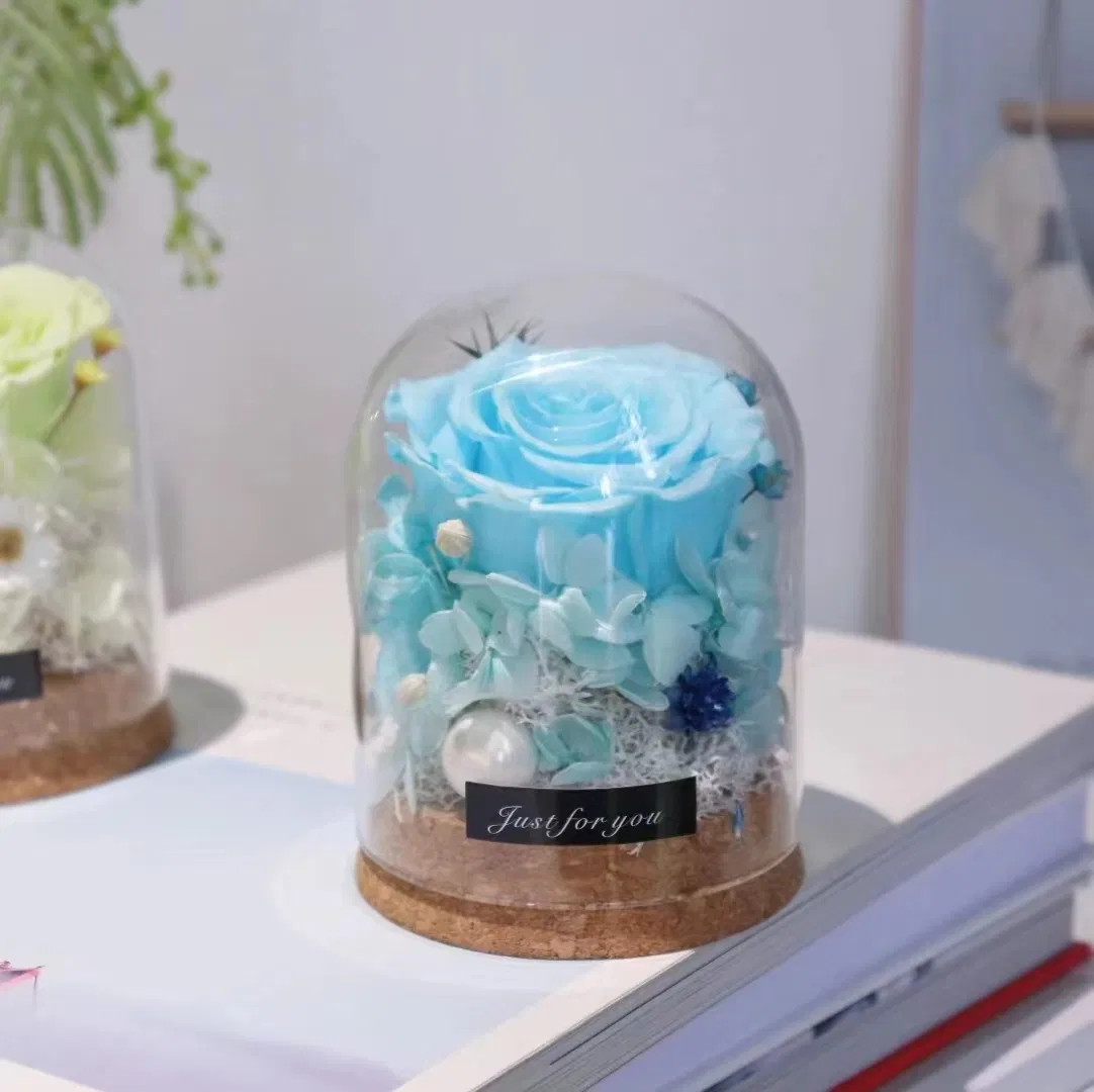 Preserved Rose Artificial Silk Soap Rose Dried Plant Preserved Pampas Moss in Glass Dome