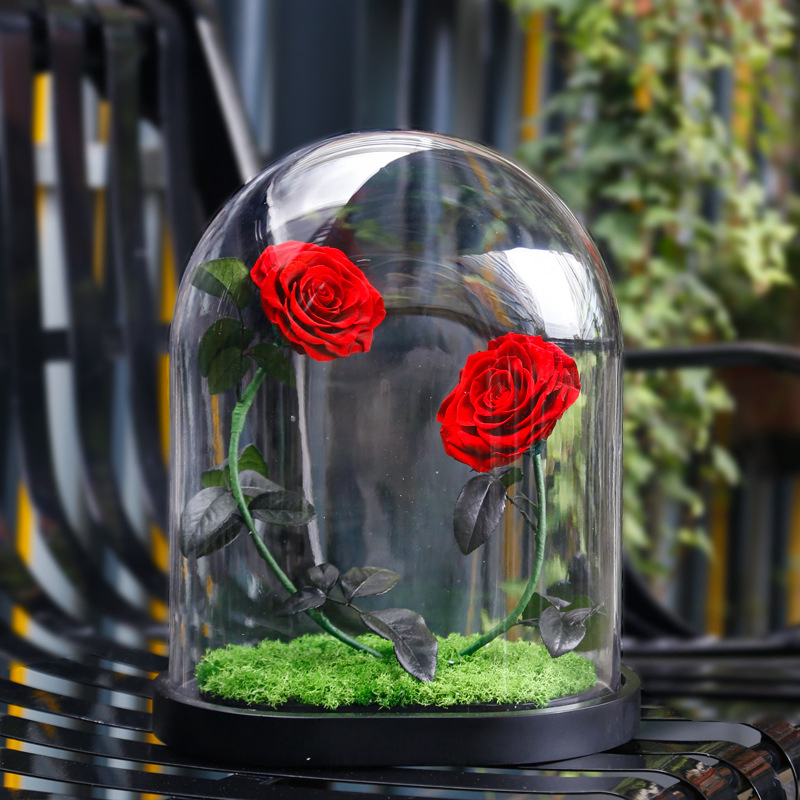 New Idea Forever Roses Valentine Gifts Preserved Rose with Glass Gift Box Rose Preserved Flower in Glass Dome