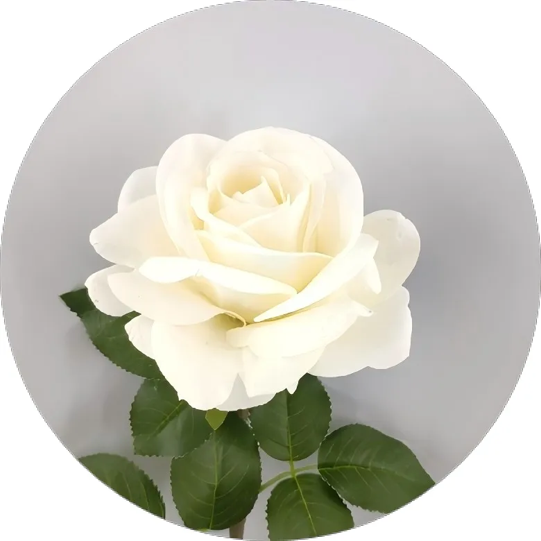 Artificial Rose Detail 6