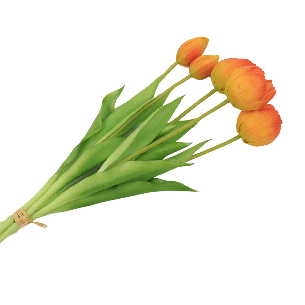 Detailed Tulip Photo 4